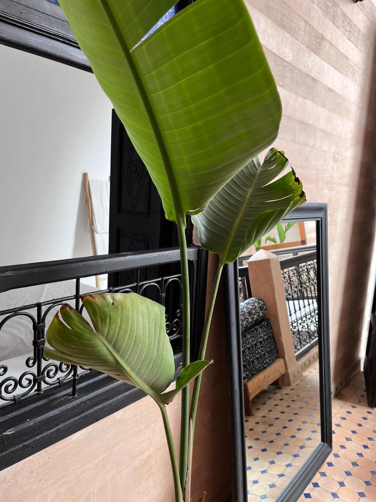 Riad Black Doors Marrakesch Exterior foto