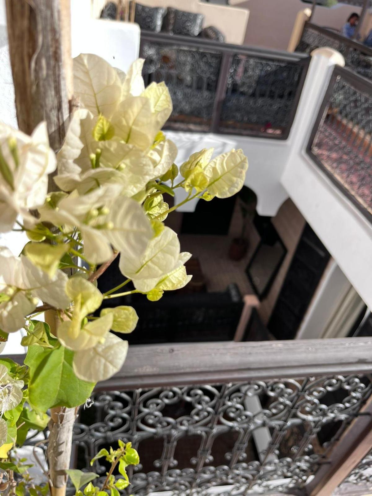 Riad Black Doors Marrakesch Exterior foto